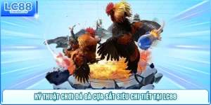 Kỹ Thuật Chơi Đá Gà Cựa Sắt Siêu Chi Tiết Tại LC88
